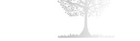 Pedro Díaz Fotógrafo